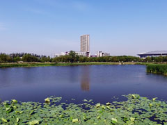 天津商業(yè)大學(xué),美國東密歇根大學(xué)