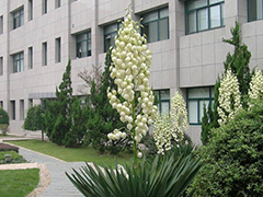 中國科學(xué)院水生生物研究所
